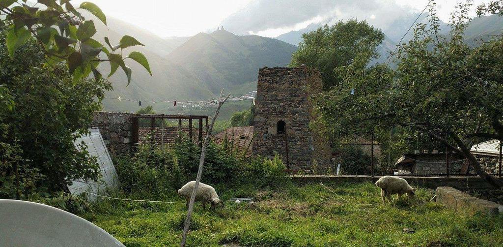 Archil And Nino Gigauri Guest House Kazbegi Eksteriør billede
